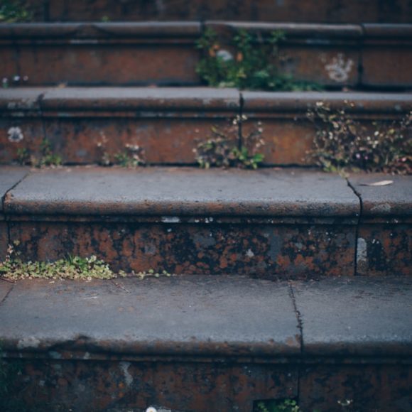 Photo Step-by-step guide