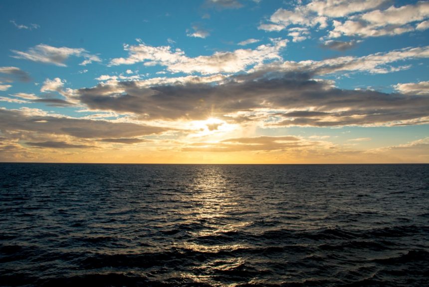 Photo Printer lease contract