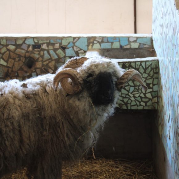 Photo Eco-friendly photocopier