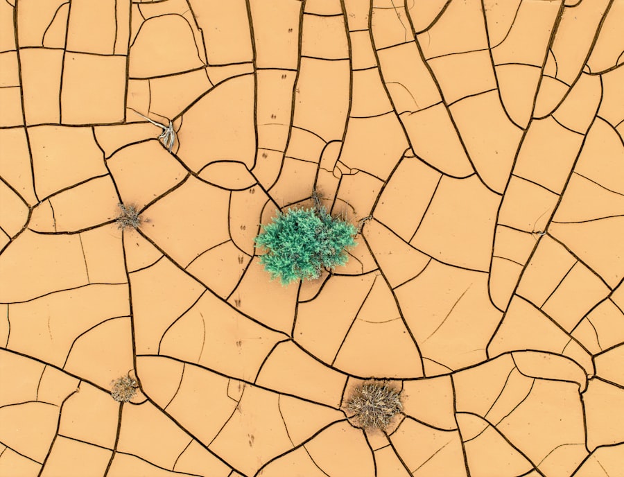 Andamenti di mercato: l'impatto degli andamenti di mercato sulla scelta tra affitto e acquisto nel vostro settore
