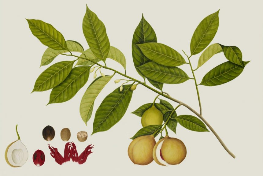 image-34 Photo illustration