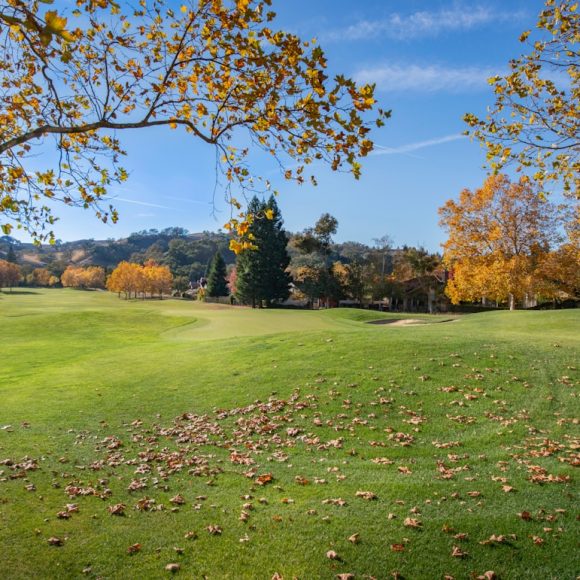 Photo documentary flows