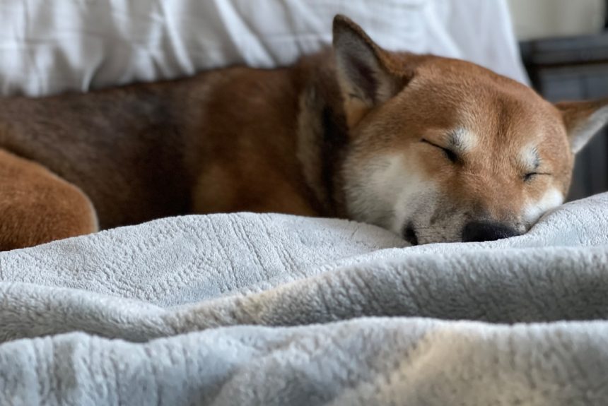 image-57 Photo nap benefits