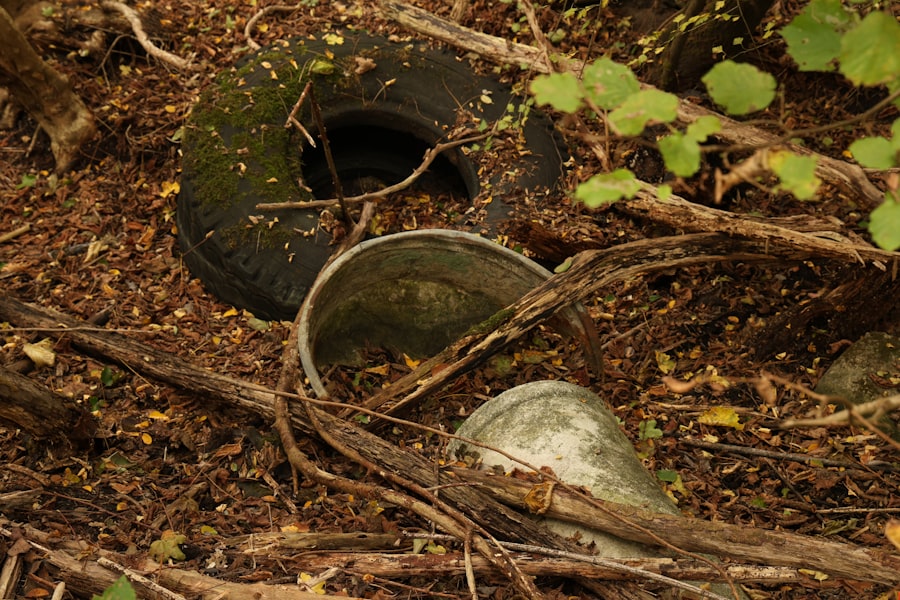 Photo environmental impact