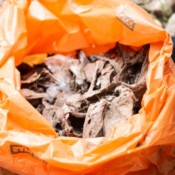 Photo recyclage cartouches dencre